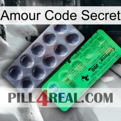 Love Secret Code new04